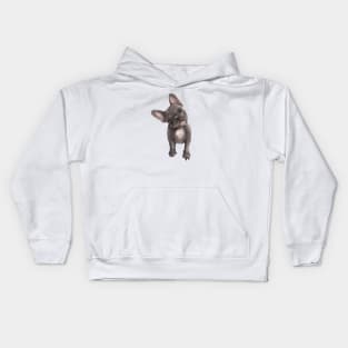 Puppy Frenchie Kids Hoodie